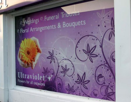 window-graphics-02