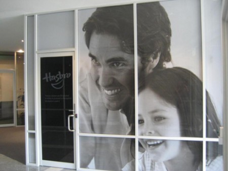 privacy-window-film
